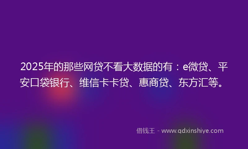 2025年的那些网贷不看大数据的有：e微贷、平安口袋银行、维信卡卡贷、惠商贷、东方汇等。