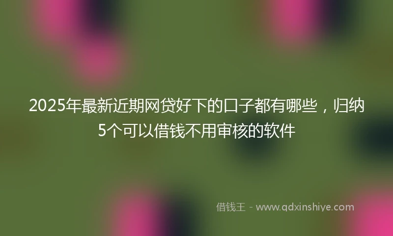 2025年最新近期网贷好下的口子都有哪些，归纳5个可以借钱不用审核的软件