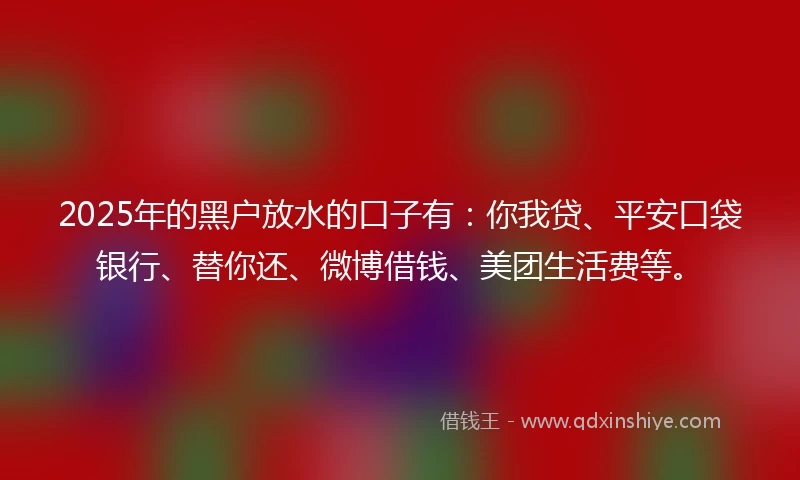 2025年的黑户放水的口子有：你我贷、平安口袋银行、替你还、微博借钱、美团生活费等。