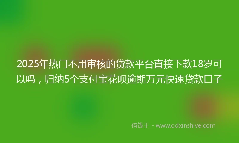 2025年热门不用审核的贷款平台直接下款18岁可以吗，归纳5个支付宝花呗逾期万元快速贷款口子