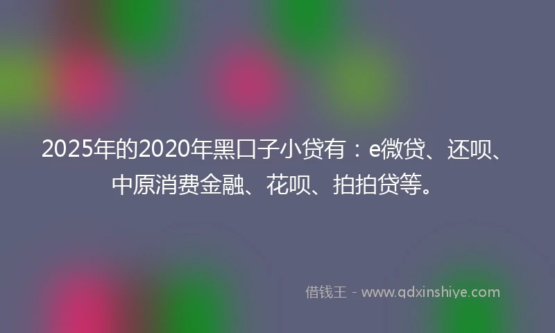 2025年的2020年黑口子小贷有：e微贷、还呗、中原消费金融、花呗、拍拍贷等。