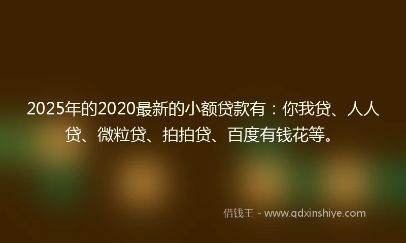 2025年的2020最新的小额贷款有：你我贷、人人贷、微粒贷、拍拍贷、百度有钱花等。