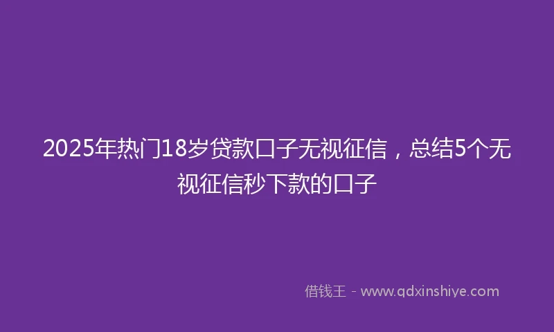 2025年热门18岁贷款口子无视征信，总结5个无视征信秒下款的口子