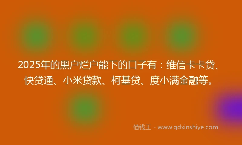 2025年的黑户烂户能下的口子有：维信卡卡贷、快贷通、小米贷款、柯基贷、度小满金融等。