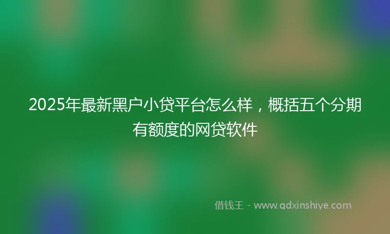 2025年最新黑户小贷平台怎么样，概括五个分期有额度的网贷软件