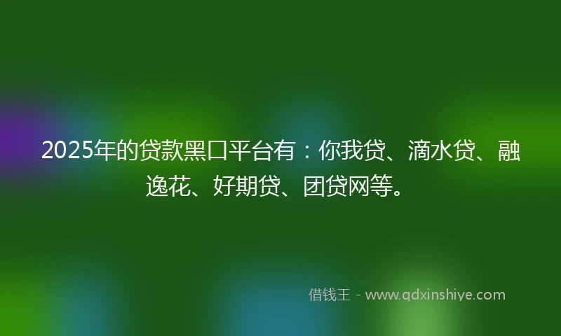 2025年的贷款黑口平台有：你我贷、滴水贷、融逸花、好期贷、团贷网等。