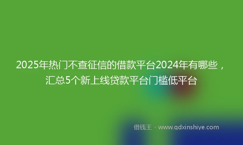 2025年热门不查征信的借款平台2024年有哪些，汇总5个新上线贷款平台门槛低平台