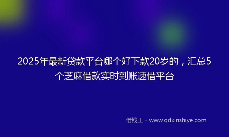 2025年最新贷款平台哪个好下款20岁的，汇总5个芝麻借款实时到账速借平台