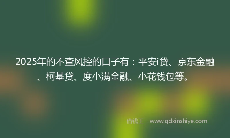 2025年的不查风控的口子有：平安i贷、京东金融、柯基贷、度小满金融、小花钱包等。