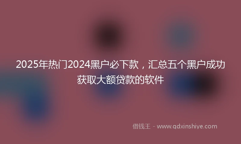 2025年热门2024黑户必下款，汇总五个黑户成功获取大额贷款的软件