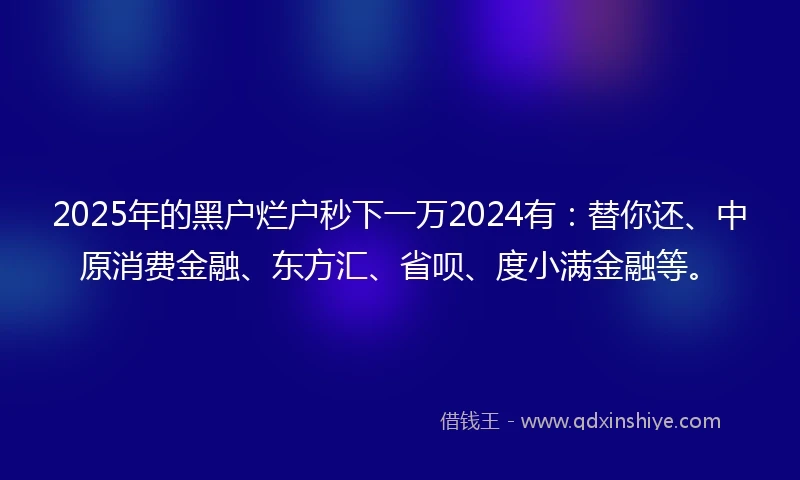 2025年的黑户烂户秒下一万2024有：替你还、中原消费金融、东方汇、省呗、度小满金融等。