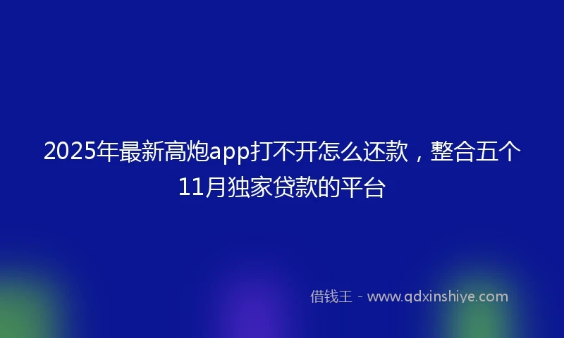 2025年最新高炮app打不开怎么还款，整合五个11月独家贷款的平台