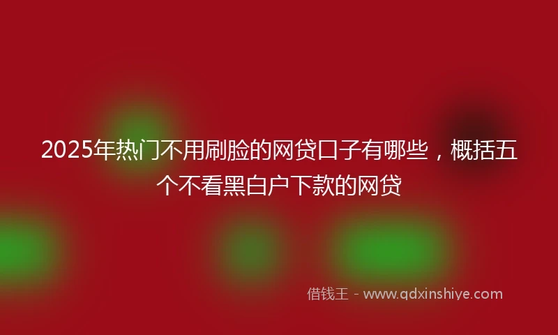 2025年热门不用刷脸的网贷口子有哪些，概括五个不看黑白户下款的网贷