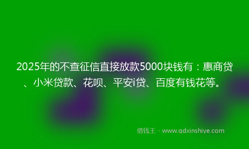 2025年的不查征信直接放款5000块钱有：惠商贷、小米贷款、花呗、平安i贷、百度有钱花等。