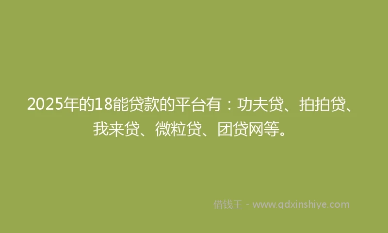 2025年的18能贷款的平台有：功夫贷、拍拍贷、我来贷、微粒贷、团贷网等。