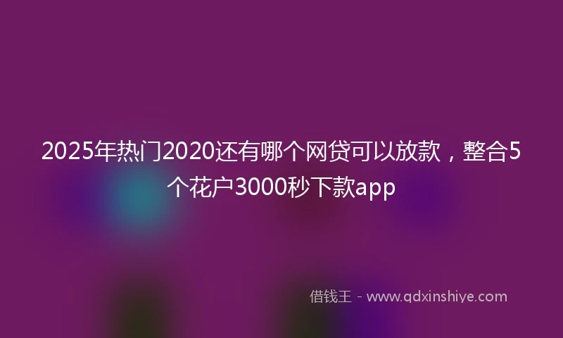 2025年热门2020还有哪个网贷可以放款，整合5个花户3000秒下款app
