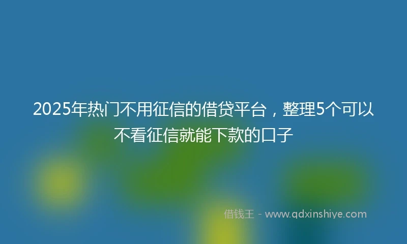 2025年热门不用征信的借贷平台，整理5个可以不看征信就能下款的口子