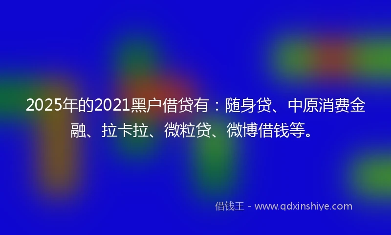 2025年的2021黑户借贷有：随身贷、中原消费金融、拉卡拉、微粒贷、微博借钱等。