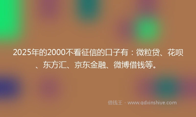 2025年的2000不看征信的口子有：微粒贷、花呗、东方汇、京东金融、微博借钱等。