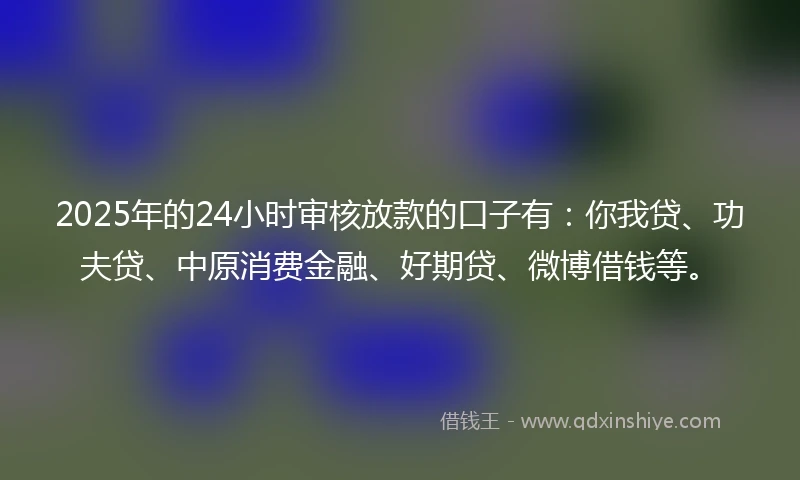 2025年的24小时审核放款的口子有：你我贷、功夫贷、中原消费金融、好期贷、微博借钱等。