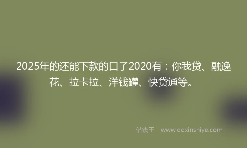 2025年的还能下款的口子2020有：你我贷、融逸花、拉卡拉、洋钱罐、快贷通等。