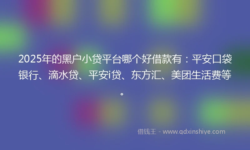 2025年的黑户小贷平台哪个好借款有：平安口袋银行、滴水贷、平安i贷、东方汇、美团生活费等。