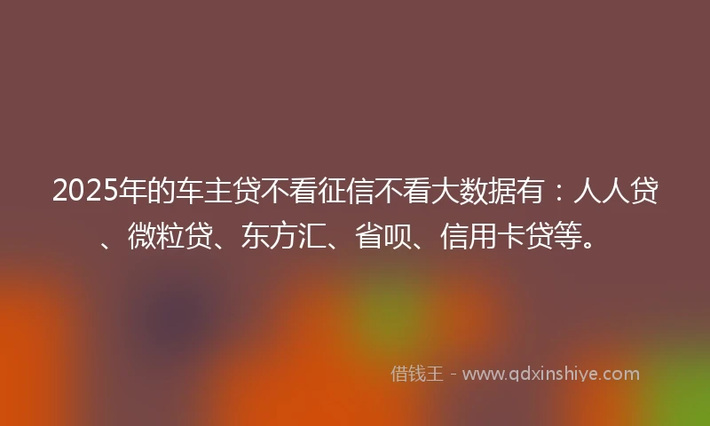 2025年的车主贷不看征信不看大数据有：人人贷、微粒贷、东方汇、省呗、信用卡贷等。