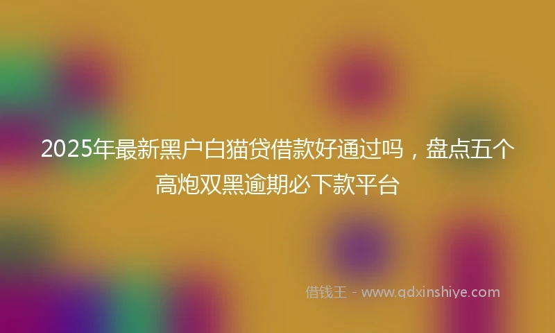 2025年最新黑户白猫贷借款好通过吗，盘点五个高炮双黑逾期必下款平台