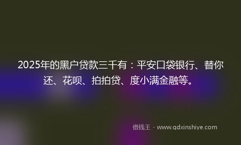 2025年的黑户贷款三千有：平安口袋银行、替你还、花呗、拍拍贷、度小满金融等。