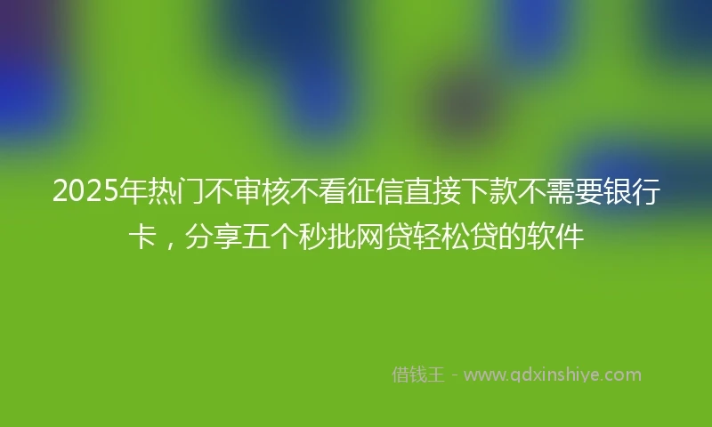 2025年热门不审核不看征信直接下款不需要银行卡，分享五个秒批网贷轻松贷的软件