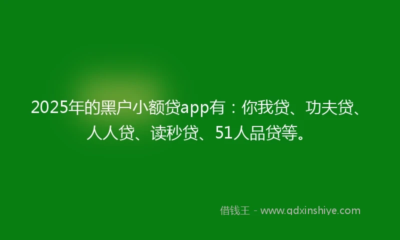 2025年的黑户小额贷app有：你我贷、功夫贷、人人贷、读秒贷、51人品贷等。