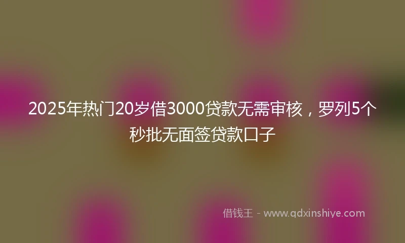 2025年热门20岁借3000贷款无需审核，罗列5个秒批无面签贷款口子