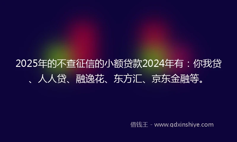 2025年的不查征信的小额贷款2024年有：你我贷、人人贷、融逸花、东方汇、京东金融等。