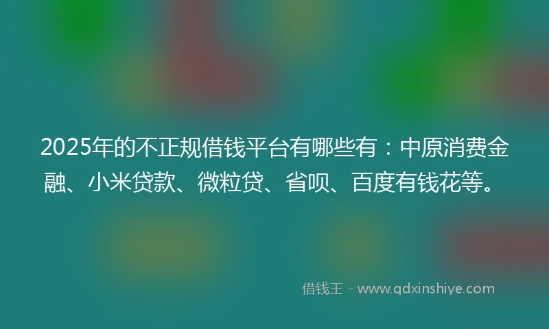 2025年的不正规借钱平台有哪些有：中原消费金融、小米贷款、微粒贷、省呗、百度有钱花等。