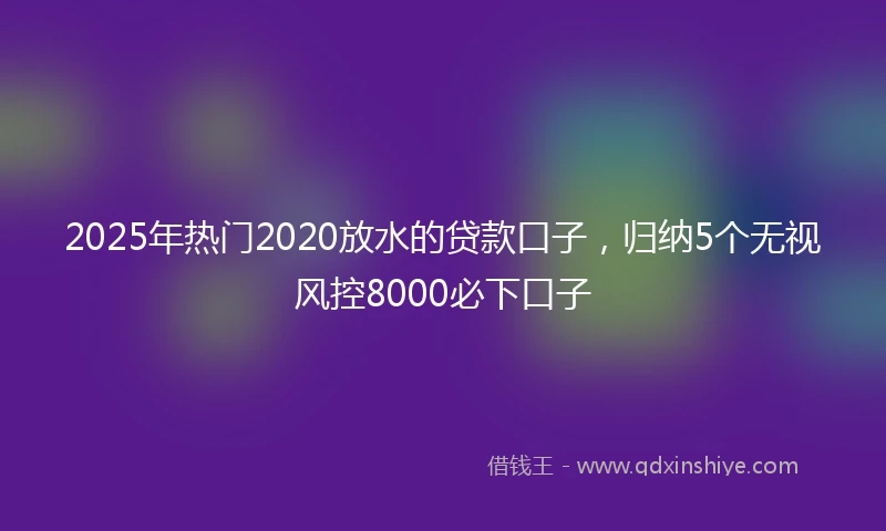 2025年热门2020放水的贷款口子，归纳5个无视风控8000必下口子