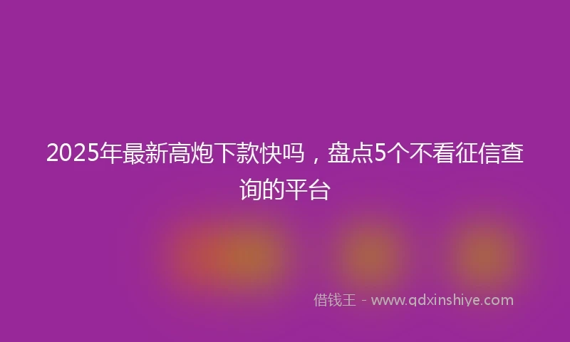 2025年最新高炮下款快吗，盘点5个不看征信查询的平台