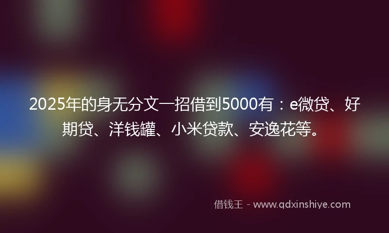 2025年的身无分文一招借到5000有：e微贷、好期贷、洋钱罐、小米贷款、安逸花等。