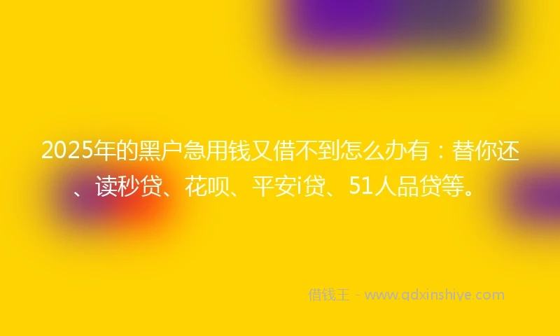 2025年的黑户急用钱又借不到怎么办有:替你还、读秒贷、花呗、平安i贷、51人品贷等。