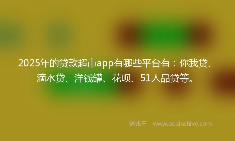 2025年的贷款超市app有哪些平台有：你我贷、滴水贷、洋钱罐、花呗、51人品贷等。