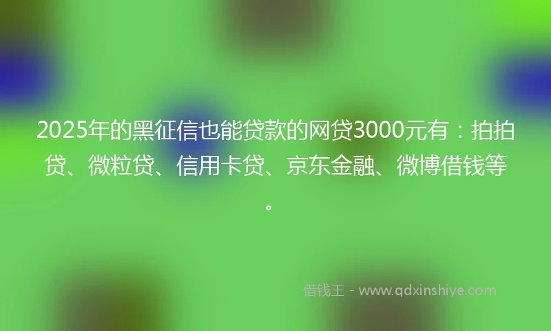 2025年的黑征信也能贷款的网贷3000元有：拍拍贷、微粒贷、信用卡贷、京东金融、微博借钱等。