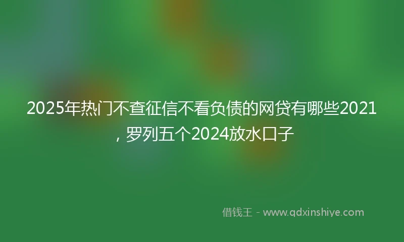 2025年热门不查征信不看负债的网贷有哪些2021，罗列五个2024放水口子