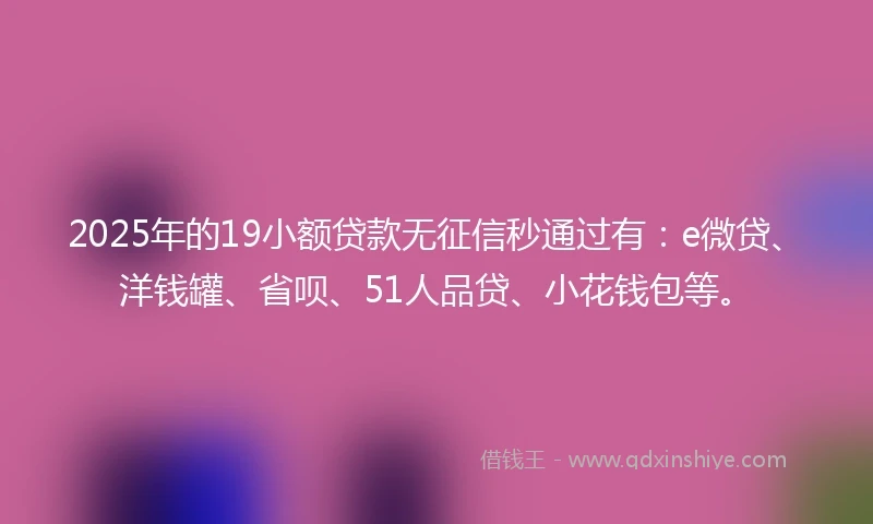 2025年的19小额贷款无征信秒通过有：e微贷、洋钱罐、省呗、51人品贷、小花钱包等。