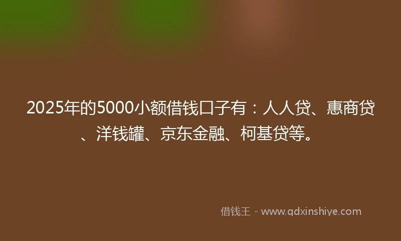 2025年的5000小额借钱口子有：人人贷、惠商贷、洋钱罐、京东金融、柯基贷等。