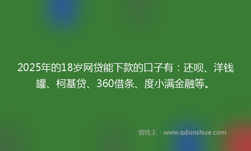 2025年的18岁网贷能下款的口子有：还呗、洋钱罐、柯基贷、360借条、度小满金融等。
