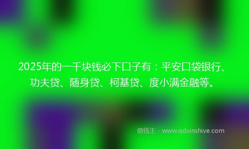 2025年的一千块钱必下口子有：平安口袋银行、功夫贷、随身贷、柯基贷、度小满金融等。