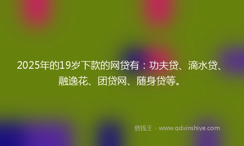2025年的19岁下款的网贷有：功夫贷、滴水贷、融逸花、团贷网、随身贷等。