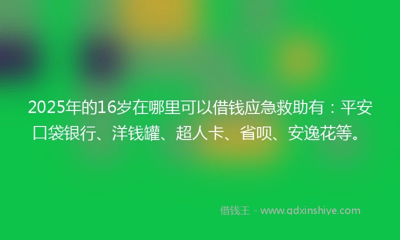 2025年的16岁在哪里可以借钱应急救助有：平安口袋银行、洋钱罐、超人卡、省呗、安逸花等。