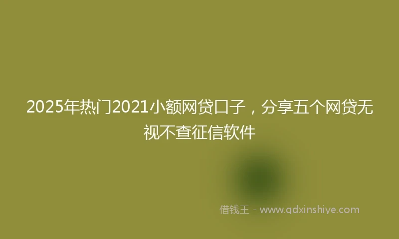 2025年热门2021小额网贷口子，分享五个网贷无视不查征信软件