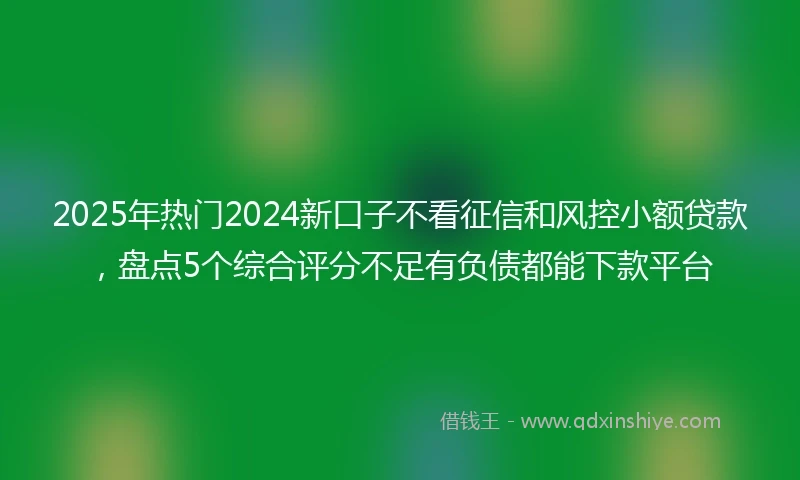 2025年热门2024新口子不看征信和风控小额贷款，盘点5个综合评分不足有负债都能下款平台