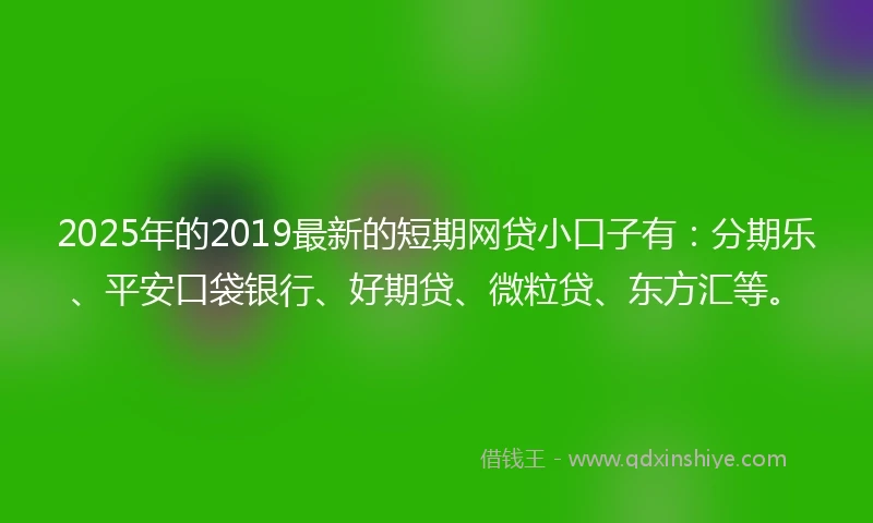 2025年的2019最新的短期网贷小口子有：分期乐、平安口袋银行、好期贷、微粒贷、东方汇等。